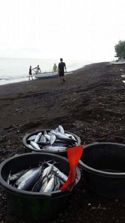 Alur Beach Homestay Amed Zewnętrze zdjęcie